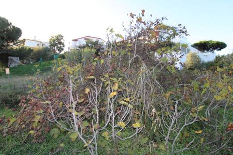 Terreno para construção