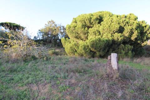 Terreno para construção