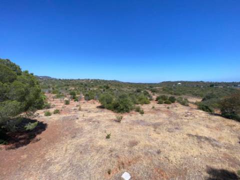 Magnifica Moradia com terreno de grande dimensão !!!