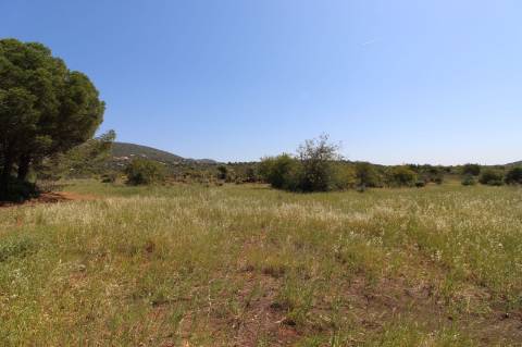 Magnifica Moradia com terreno de grande dimensão !!!