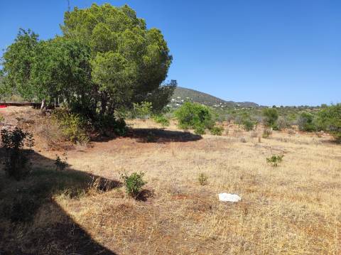 Magnifica Moradia com terreno de grande dimensão !!!