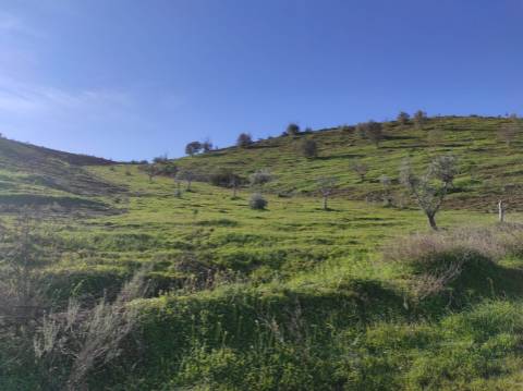 TERRENO RUSTICO COM 29.760 M2 - COM POÇO E ARVORES - CASTRO MARIM - ALGARVE