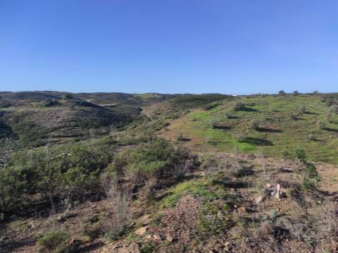 TERRENO RUSTICO COM 29.760 M2 - COM POÇO E ARVORES - CASTRO MARIM - ALGARVE
