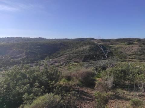 TERRENO RUSTICO COM 29.760 M2 - COM POÇO E ARVORES - CASTRO MARIM - ALGARVE