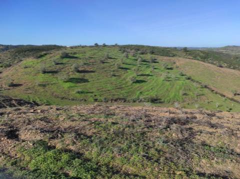 TERRENO RUSTICO COM 29.760 M2 - COM POÇO E ARVORES - CASTRO MARIM - ALGARVE