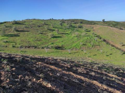 TERRENO RUSTICO COM 29.760 M2 - COM POÇO E ARVORES - CASTRO MARIM - ALGARVE