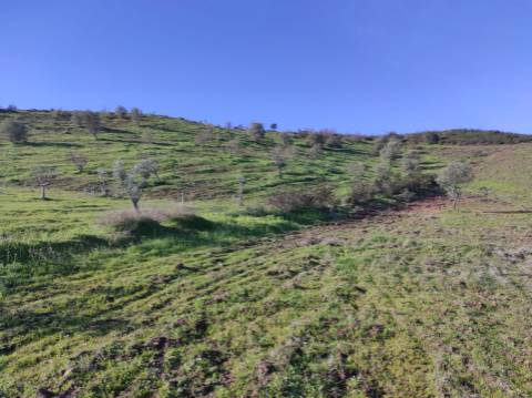 TERRENO RUSTICO COM 29.760 M2 - COM POÇO E ARVORES - CASTRO MARIM - ALGARVE