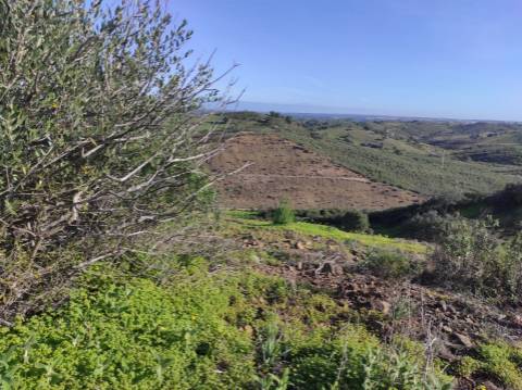 TERRENO RUSTICO COM 29.760 M2 - COM POÇO E ARVORES - CASTRO MARIM - ALGARVE