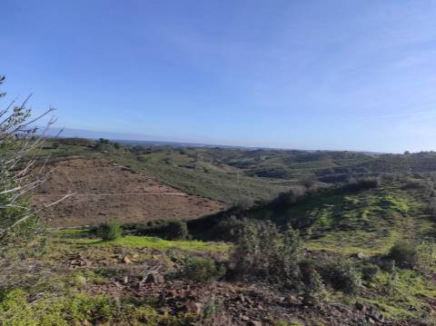 TERRENO RUSTICO COM 29.760 M2 - COM POÇO E ARVORES - CASTRO MARIM - ALGARVE