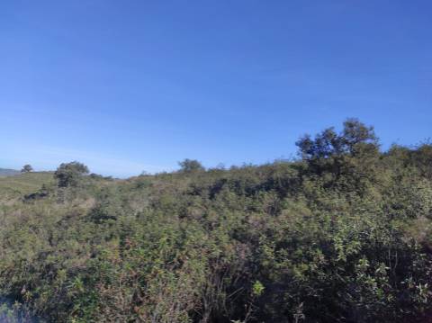 TERRENO RUSTICO COM 29.760 M2 - COM POÇO E ARVORES - CASTRO MARIM - ALGARVE