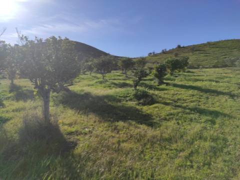 TERRENO RUSTICO COM 29.760 M2 - COM POÇO E ARVORES - CASTRO MARIM - ALGARVE