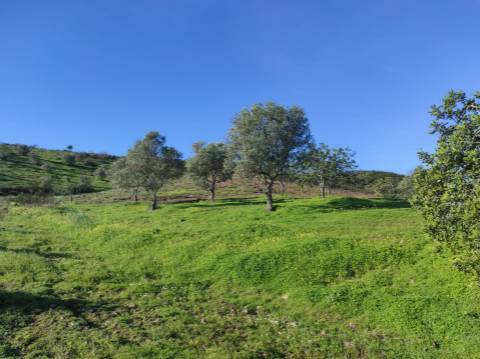 TERRENO RUSTICO COM 29.760 M2 - COM POÇO E ARVORES - CASTRO MARIM - ALGARVE
