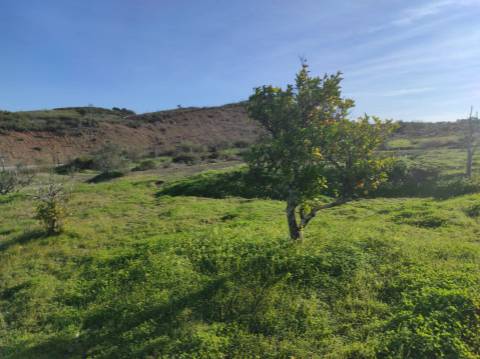 TERRENO RUSTICO COM 29.760 M2 - COM POÇO E ARVORES - CASTRO MARIM - ALGARVE