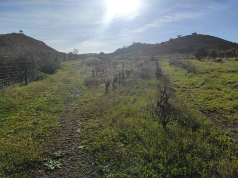 TERRENO RUSTICO COM 29.760 M2 - COM POÇO E ARVORES - CASTRO MARIM - ALGARVE