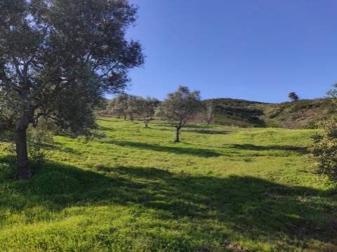 TERRENO RUSTICO COM 29.760 M2 - COM POÇO E ARVORES - CASTRO MARIM - ALGARVE