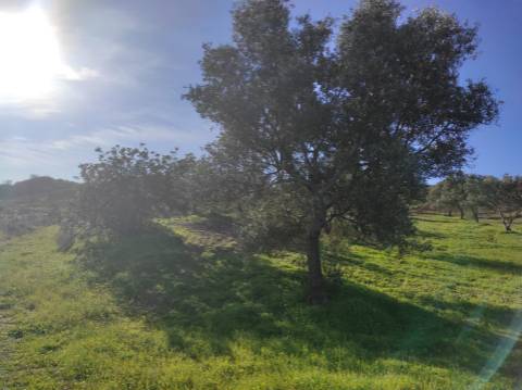 TERRENO RUSTICO COM 29.760 M2 - COM POÇO E ARVORES - CASTRO MARIM - ALGARVE