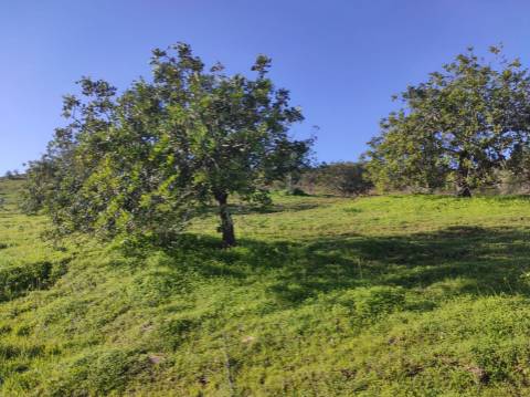 TERRENO RUSTICO COM 29.760 M2 - COM POÇO E ARVORES - CASTRO MARIM - ALGARVE