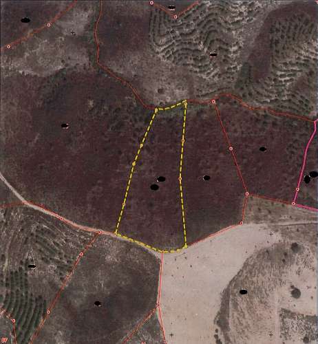 Terreno Rústico - 6920m2 - Saico - Marroquil - Azinhal - Castro Marim