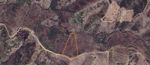 Terreno Rústico - 6920m2 - Saico - Marroquil - Azinhal - Castro Marim