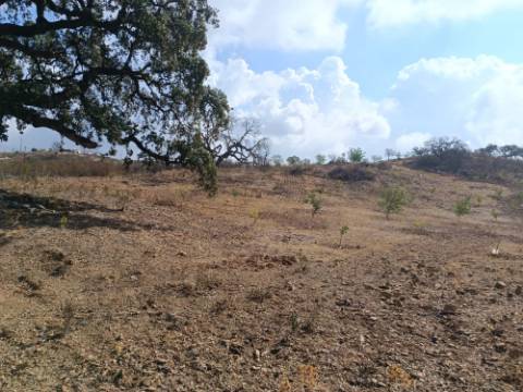 TERRENO RUSTICO COM 2.840 M2 - CORUJOS - CASTRO MARIM - ALGARVE