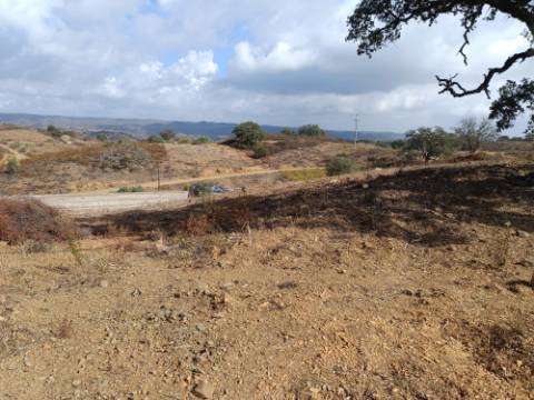 TERRENO RUSTICO COM 2.840 M2 - CORUJOS - CASTRO MARIM - ALGARVE