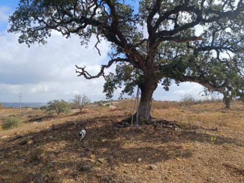 TERRENO RUSTICO COM 2.840 M2 - CORUJOS - CASTRO MARIM - ALGARVE