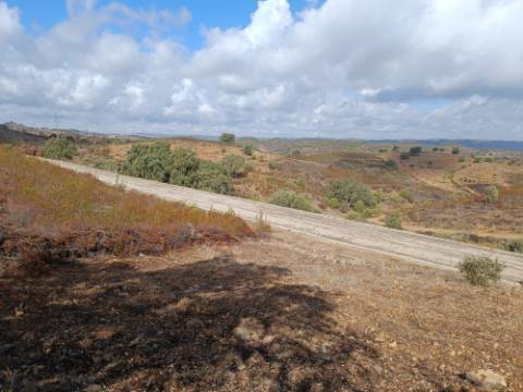 TERRENO RUSTICO COM 2.840 M2 - CORUJOS - CASTRO MARIM - ALGARVE