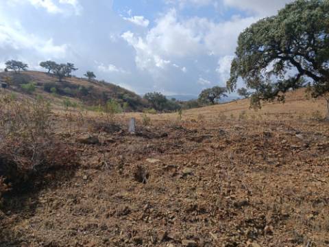 TERRENO RUSTICO COM 2.840 M2 - CORUJOS - CASTRO MARIM - ALGARVE