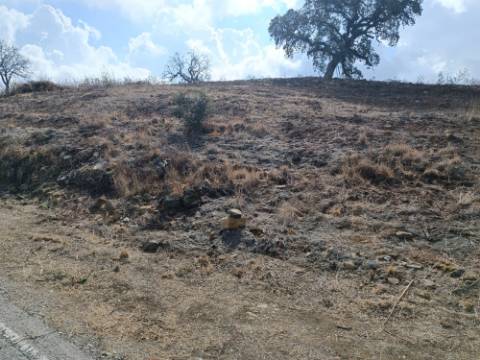 TERRENO RUSTICO COM 2.840 M2 - CORUJOS - CASTRO MARIM - ALGARVE