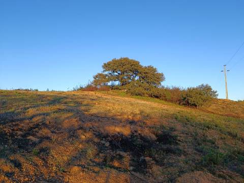 TERRENO RUSTICO COM 2.840 M2 - CORUJOS - CASTRO MARIM - ALGARVE