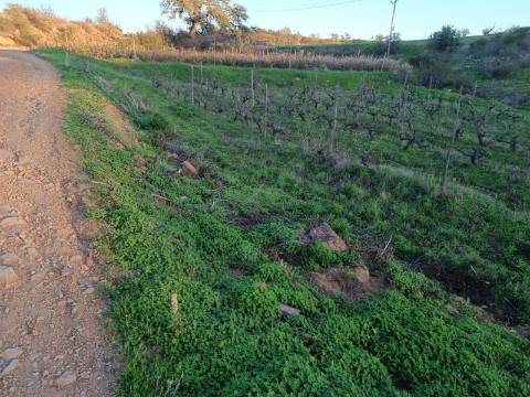 TERRENO RUSTICO COM 2.840 M2 - CORUJOS - CASTRO MARIM - ALGARVE