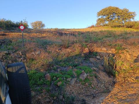 TERRENO RUSTICO COM 2.840 M2 - CORUJOS - CASTRO MARIM - ALGARVE