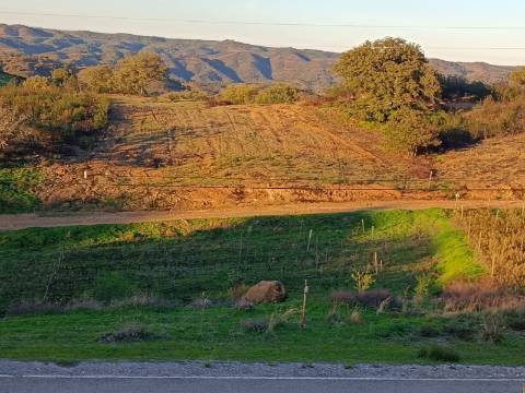 TERRENO RUSTICO COM 2.840 M2 - CORUJOS - CASTRO MARIM - ALGARVE