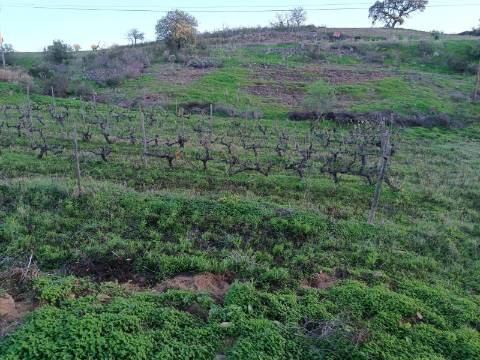 TERRENO RUSTICO COM 2.840 M2 - CORUJOS - CASTRO MARIM - ALGARVE