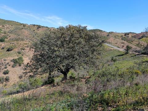 TERRENO RÚSTICO COM 10.360 M2 - PRÓXIMO ÁGUA E LETRICIDADE - ALTA MORA - ODELEITE - CASTRO MARIM - ALGARVE