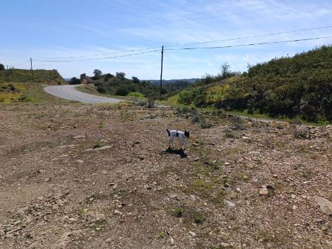 TERRENO RÚSTICO COM 10.360 M2 - PRÓXIMO ÁGUA E LETRICIDADE - ALTA MORA - ODELEITE - CASTRO MARIM - ALGARVE