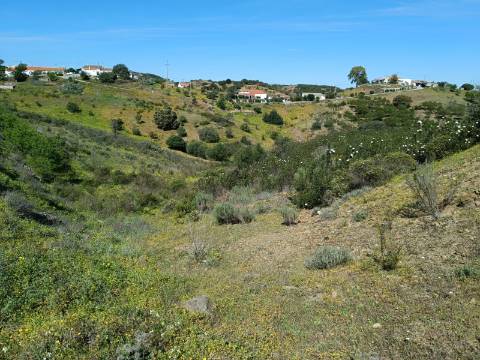 TERRENO RÚSTICO COM 10.360 M2 - PRÓXIMO ÁGUA E LETRICIDADE - ALTA MORA - ODELEITE - CASTRO MARIM - ALGARVE