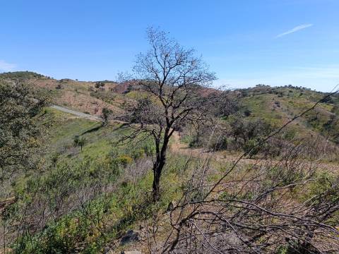 TERRENO COM 43.560 M2 - COM POSSIBILIDADE DE CONTRUIR UM ARMAZÉM - PRÓXIMO ALTA MORA - CASTRO MARIM - ALGARVE