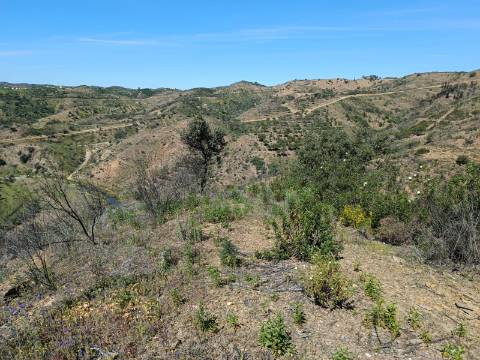 TERRENO COM 43.560 M2 - COM POSSIBILIDADE DE CONTRUIR UM ARMAZÉM - PRÓXIMO ALTA MORA - CASTRO MARIM - ALGARVE