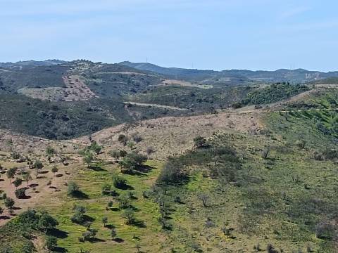TERRENO COM 43.560 M2 - COM POSSIBILIDADE DE CONTRUIR UM ARMAZÉM - PRÓXIMO ALTA MORA - CASTRO MARIM - ALGARVE