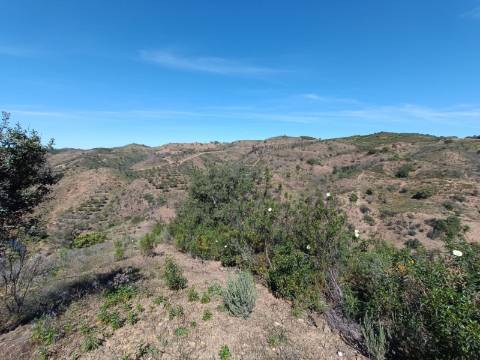 TERRENO COM 43.560 M2 - COM POSSIBILIDADE DE CONTRUIR UM ARMAZÉM - PRÓXIMO ALTA MORA - CASTRO MARIM - ALGARVE
