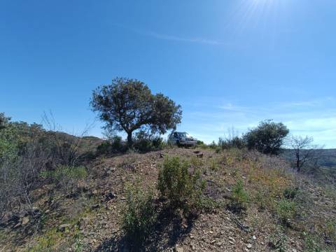 TERRENO COM 43.560 M2 - COM POSSIBILIDADE DE CONTRUIR UM ARMAZÉM - PRÓXIMO ALTA MORA - CASTRO MARIM - ALGARVE