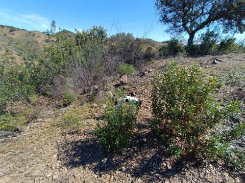 TERRENO COM 43.560 M2 - COM POSSIBILIDADE DE CONTRUIR UM ARMAZÉM - PRÓXIMO ALTA MORA - CASTRO MARIM - ALGARVE