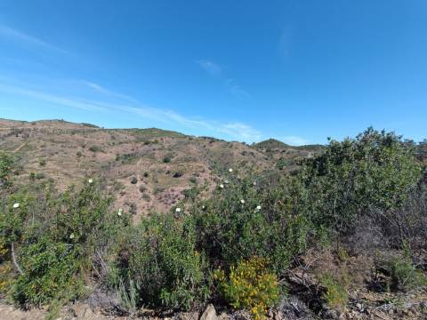 TERRENO COM 43.560 M2 - COM POSSIBILIDADE DE CONTRUIR UM ARMAZÉM - PRÓXIMO ALTA MORA - CASTRO MARIM - ALGARVE