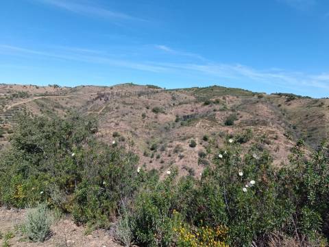 TERRENO COM 43.560 M2 - COM POSSIBILIDADE DE CONTRUIR UM ARMAZÉM - PRÓXIMO ALTA MORA - CASTRO MARIM - ALGARVE