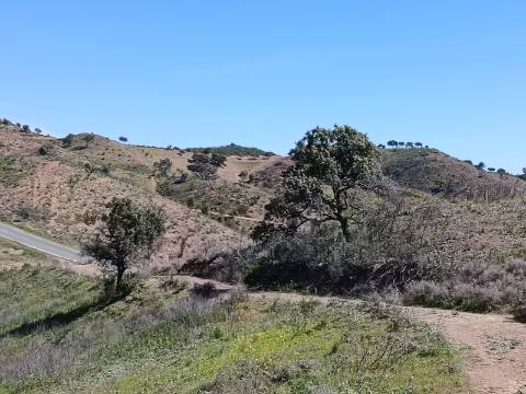 TERRENO COM 43.560 M2 - COM POSSIBILIDADE DE CONTRUIR UM ARMAZÉM - PRÓXIMO ALTA MORA - CASTRO MARIM - ALGARVE