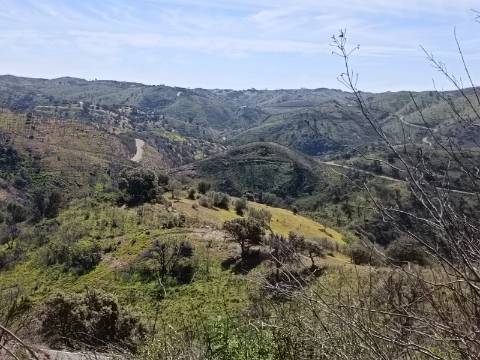 TERRENO COM 43.560 M2 - COM POSSIBILIDADE DE CONTRUIR UM ARMAZÉM - PRÓXIMO ALTA MORA - CASTRO MARIM - ALGARVE