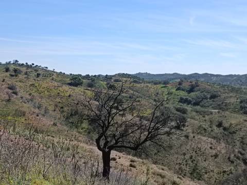 TERRENO COM 43.560 M2 - COM POSSIBILIDADE DE CONTRUIR UM ARMAZÉM - PRÓXIMO ALTA MORA - CASTRO MARIM - ALGARVE