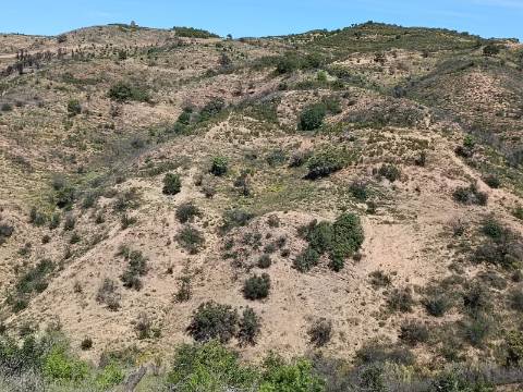 TERRENO COM 43.560 M2 - COM POSSIBILIDADE DE CONTRUIR UM ARMAZÉM - PRÓXIMO ALTA MORA - CASTRO MARIM - ALGARVE