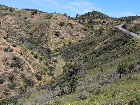 TERRENO COM 43.560 M2 - COM POSSIBILIDADE DE CONTRUIR UM ARMAZÉM - PRÓXIMO ALTA MORA - CASTRO MARIM - ALGARVE